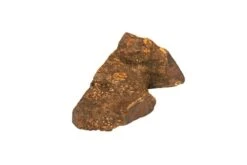 Wildfang® | Chewing Root Made From Tree Heather For Dogs, Dental Care & Masticatory Muscle Training, Natural Chew Toy…… 22 Wildfang® | Chewing Root Made From Tree Heather For Dogs, Dental Care & Masticatory Muscle Training, Natural Chew Toy…… -Dog Supply Store 312744EvimS