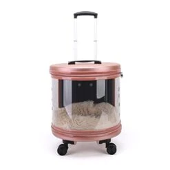 LEFEDA Cat Carrier Pet Trolley Case Dog Travel Transport Bag Transparent Wide View Handbag Outing Portable Backpack Bubble Box Pet Backpack Carrier (Color : Pink) -Dog Supply Store 3191dObYdqL 1