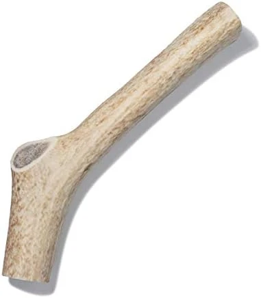 Antler Dog Chew From Pet Expertise, Gigantic 12-14" Long, 1 Piece 9 Antler Dog Chew From Pet Expertise, Gigantic 12-14" Long, 1 Piece - Image 7