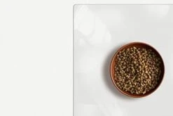 ExactMade - Clear Pet Bowl Mat, USA Made, Safe, Waterproof, 12 X 21 Inch, 2mm Thick Smooth Vinyl, Clear Dog Mat, Clear Pet Floor Protection, Clear Cage Mat, Clear Mat For Under Fish Tank -Dog Supply Store 31Ge8mpIGxL. AC 5