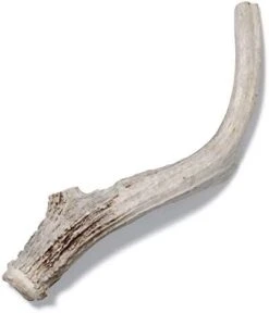 Antler Dog Chew From Pet Expertise, Gigantic 12-14" Long, 1 Piece 24 Antler Dog Chew From Pet Expertise, Gigantic 12-14" Long, 1 Piece -Dog Supply Store 31KXBlIzYmL. AC