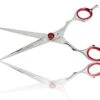 6.5 Inch Pets Grooming Scissors, Professional Dog Hair Cutting Scissors Perfect Size Free Storage Case (6.5" Red Jewel Scissors)