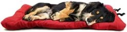 Portable Travel Dog Mat Outdoor Dog Bed Waterproof Camping Pet Pad With Carry Handle Large Dog Bed (X-Large,Red) -Dog Supply Store 31U4SBEe0VL. AC 1