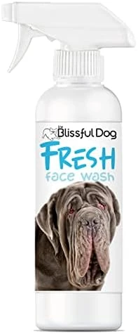 The Blissful Dog Fresh Flat Face Wash - Cleans Facial Folds And Wrinkles, 8-Ounce, Pug 15 The Blissful Dog Fresh Flat Face Wash - Cleans Facial Folds And Wrinkles, 8-Ounce, Pug - Image 13
