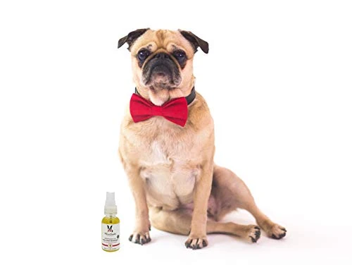 Warren London Nose & Paw Pad Moisturizer For Dogs - Grapeseed Oil & Essential Oil Blend - Instant Relief Revitalizing & Moisturizing Spray For Softer Dog Paws - Made In USA - 1oz 5 Warren London Nose & Paw Pad Moisturizer For Dogs - Grapeseed Oil & Essential Oil Blend - Instant Relief Revitalizing & Moisturizing Spray For Softer Dog Paws - Made In USA - 1oz - Image 3