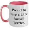 GENERIC Proud To Have A Little. Two Tone 11oz Mug, Russell Terrier Dog Cup, Motivational Gifts For Russell Terrier Dog From Friends, Dog Toy, Dog Treat, Dog Food, Pet Supplies 2 GENERIC Proud To Have A Little. Two Tone 11oz Mug, Russell Terrier Dog Cup, Motivational Gifts For Russell Terrier Dog From Friends, Dog Toy, Dog Treat, Dog Food, Pet Supplies -Dog Supply Store 31dbpw6n21L