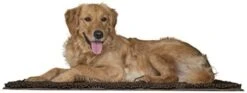 Furhaven 60" X 48" Highly Absorbent Dog Door Mat For Muddy Paws, 100% Washable, Perfect For Entryway, Kitchen, & Bathroom Use - Chenille Shammy Rug - Charcoal (Gray), Jumbo Plus/XXXL 24 Furhaven 60" X 48" Highly Absorbent Dog Door Mat For Muddy Paws, 100% Washable, Perfect For Entryway, Kitchen, & Bathroom Use - Chenille Shammy Rug - Charcoal (Gray), Jumbo Plus/XXXL -Dog Supply Store 31itreaKgAL. AC