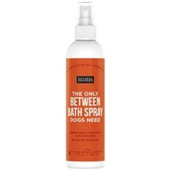 Natural Rapport Female Dog Cologne Spray With Floral & Coconut Scent - The Only Between Bath Spray Dogs Need - Convenient, Between-Bath Dog Deodorant Spray And Pet Urine Odor Eliminator Perfume (Female, 8 Fl Oz.) -Dog Supply Store 31kD8w0Xg L