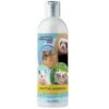 Critter Shampoo For Small Pets - 8oz Small Animal Fragrance Free Shampoo - Pet Shampoo For Small Critters Including Ferrets, Guinea Pigs Ferrets, Hedgehogs, Sugar Gliders, Rabbits, And Hamster 2 Critter Shampoo For Small Pets - 8oz Small Animal Fragrance Free Shampoo - Pet Shampoo For Small Critters Including Ferrets, Guinea Pigs Ferrets, Hedgehogs, Sugar Gliders, Rabbits, And Hamster -Dog Supply Store 4109n3KLQ1L