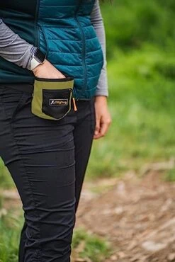 OllyDog Goodie Treat Bag, Dog Treat Pouch, Waist Belt Clip For Hands-Free Training, Magnetic Closure, Dog Training And Behavior Aids, Three Ways To Wear (Cactus) -Dog Supply Store 410ICgLm20L