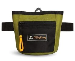 OllyDog Goodie Treat Bag, Dog Treat Pouch, Waist Belt Clip For Hands-Free Training, Magnetic Closure, Dog Training And Behavior Aids, Three Ways To Wear (Cactus)