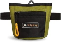 OllyDog Goodie Treat Bag, Dog Treat Pouch, Waist Belt Clip For Hands-Free Training, Magnetic Closure, Dog Training And Behavior Aids, Three Ways To Wear (Cactus) -Dog Supply Store 411nQNpXiNL. AC