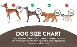 WhiteTail Naturals | Premium Deer Antlers For Dogs (Large) | All Natural Antler Dog Chew | Naturally Shed, Long Lasting Chew Bone, Made In USA (Large (Best For Dogs 40-60 Lbs)) -Dog Supply Store 411xIxavY7L