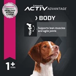 Eukanuba Adult Medium Breed Dry Dog Food, 30 Lb -Dog Supply Store 412H47BHTHL