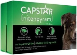 CAPSTAR (nitenpyram) Oral Flea Treatment For Dogs, Fast Acting Tablets Start Killing Fleas In 30 Minutes, Medium & Large Dogs (Over 25 Lbs), 6 Doses 22 CAPSTAR (nitenpyram) Oral Flea Treatment For Dogs, Fast Acting Tablets Start Killing Fleas In 30 Minutes, Medium & Large Dogs (Over 25 Lbs), 6 Doses -Dog Supply Store 412cp0d48L. AC