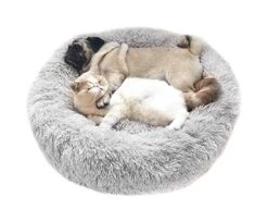 Dog Supply Store -Dog Supply Store 413S87gPTRL