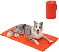 BDEUS 51x35In Large Size Outdoor Dog Bed, Waterproof & Portable Camping Travel Pet Mat, Easy To Clean, Washable Odor Resistant Pet Cooling Pad (Orange) -Dog Supply Store 413sVZRpFbL. AC