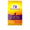 Wellness Complete Health Natural Grain Free Dry Puppy Food, Chicken & Salmon, 24-Pound Bag -Dog Supply Store 414lM8NVkML