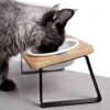 Pawkizz Elevated Cat Bowls & Waterproof Pet Food Mat - Eco-Friendly Bundle