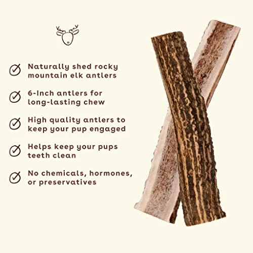 Pupford Split Elk Antlers | Durable & Tough Chew Toy & Treat For Aggressive Chewers - Long Lasting, All Natural, Cleans Teeth & Engages Your Pup | 5-8” Long (1 Count) 4 Pupford Split Elk Antlers | Durable & Tough Chew Toy & Treat For Aggressive Chewers - Long Lasting, All Natural, Cleans Teeth & Engages Your Pup | 5-8” Long (1 Count) - Image 2