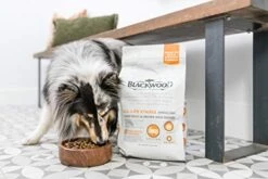Blackwood Dog Food Made In USA Slow Cooked Dry Dog Food [Sensitive Skin And Stomach Dog Food To Solve Food Sensitivities Naturally], Catfish & Pearled Barley Recipe, 5 Lb. Bag -Dog Supply Store 41803vjh4RL