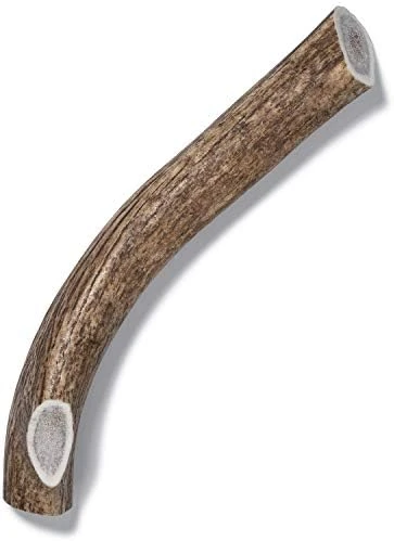 Antler Dog Chew From Pet Expertise, Gigantic 12-14" Long, 1 Piece 14 Antler Dog Chew From Pet Expertise, Gigantic 12-14" Long, 1 Piece - Image 12