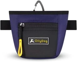 OllyDog Goodie Treat Bag, Dog Treat Pouch, Waist Belt Clip For Hands-Free Training, Magnetic Closure, Dog Training And Behavior Aids, Three Ways To Wear (Cactus) -Dog Supply Store 419IV69rBzL. AC