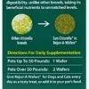SUN CHLORELLA Rejuv-A-Wafers - Chlorella & Eleuthero Superfood Supplement For Dogs And Cats (60 Wafers) PACK OF TWO -Dog Supply Store 419T1bOTJHL