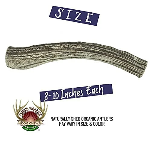 Deer Valley Dog Chews (Giant Single, 8-10 Inches) - Sustainably-Sourced Deer Antler For Extra Large Breeds - Durable And Enticing Chew Toy For Aggressive Chewers 4 Deer Valley Dog Chews (Giant Single, 8-10 Inches) - Sustainably-Sourced Deer Antler For Extra Large Breeds - Durable And Enticing Chew Toy For Aggressive Chewers - Image 2