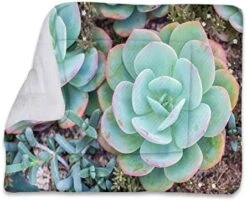 GENERIC Multicolor Self Heating Pet Pads Blanket Puppy's Pet Pad Ice Cream Cones 50s Time Colored Drawings Large Dog Bed Pad Pets Sleeping Bed Soft Warm Fluffy Kennel Pad Food Decor 22" X 28" 27 GENERIC Multicolor Self Heating Pet Pads Blanket Puppy's Pet Pad Ice Cream Cones 50s Time Colored Drawings Large Dog Bed Pad Pets Sleeping Bed Soft Warm Fluffy Kennel Pad Food Decor 22" X 28" -Dog Supply Store 41B9zr3KJsL. AC