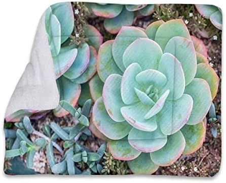 GENERIC Multicolor Self Heating Pet Pads Blanket Puppy's Pet Pad Ice Cream Cones 50s Time Colored Drawings Large Dog Bed Pad Pets Sleeping Bed Soft Warm Fluffy Kennel Pad Food Decor 22" X 28" 13 GENERIC Multicolor Self Heating Pet Pads Blanket Puppy's Pet Pad Ice Cream Cones 50s Time Colored Drawings Large Dog Bed Pad Pets Sleeping Bed Soft Warm Fluffy Kennel Pad Food Decor 22" X 28" - Image 11