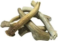 WhiteTail Naturals | 3 Pack Medium | Deer Antler Dog Chews | All Natural Organic Antlers For Dogs | Long Lasting Antler Bones For Dogs | Durable Antler Dog Toy -Dog Supply Store 41Ca7LpJHhL. AC