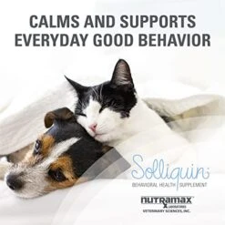 Nutramax Solliquin Calming Behavioral Health Supplement For Small To Medium Dogs And Cats - With L-Theanine, Magnolia / Phellodendron, And Whey Protein Concentrate, 75 Soft Chews -Dog Supply Store 41Cpp9qVrcL