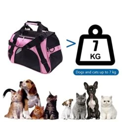 LEFEDA Pet Carrier Cat Portable Breathable Foldable Bag Cat Dog Carrying For Small Dog Outgoing Travel Pets Handbag With Shoulder Strap Pet Backpack Carrier (Color : Purple, Size : 44x26x21 (pet 2.5 -Dog Supply Store 41DLo01nIQL