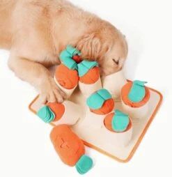 FOSSA Dog Snuffle Mat, Puppy Toys Feeding Mat With 8 Carrots Plush Dog Treat Puzzle Toys (Small) 17 FOSSA Dog Snuffle Mat, Puppy Toys Feeding Mat With 8 Carrots Plush Dog Treat Puzzle Toys (Small) -Dog Supply Store 41EPLwbnqAL. AC