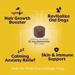 Doc Itchy Rejuvenating Hair-Grower Dog Pet Chews | Medical-Strength 10mg Melatonin | Hair Growth Booster | Senior Dog Energizer | Calming | Clinical High-Dose | Food Allergy Safe | Vegan | 90 Count -Dog Supply Store 41FOJpGeNQL