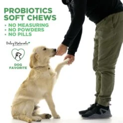 Deley Naturals Probiotics For Dogs - 120 Grain Free Chicken Soft Chews - 4 Billion CFU's, Digestive Enzymes, Prebiotics - Dog Allergies, Diarrhea, Bad Dog Breath, Constipation, Gas, Yeast- Made In USA -Dog Supply Store 41FqTth9LyL