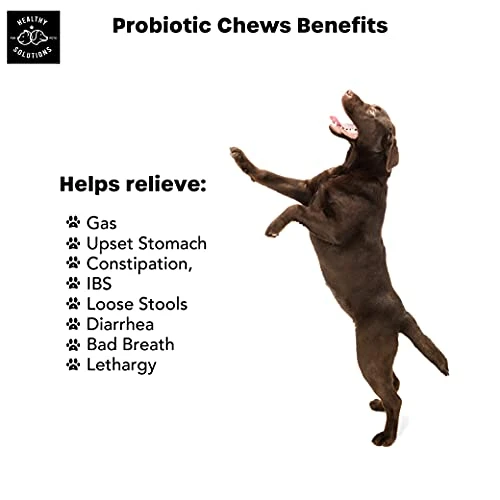 Probiotics For Dogs - Dog Probiotic And Digestive Enzymes - 120 Soft Chews For Digestion Support - Vet Strength Pet Supplement - Made In USA 5 Probiotics For Dogs - Dog Probiotic And Digestive Enzymes - 120 Soft Chews For Digestion Support - Vet Strength Pet Supplement - Made In USA - Image 3