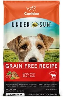 Canidae Under The Sun Premium Dry Dog Food For Puppies, Adults And Senior Dogs, Lamb Recipe, 40 Pounds, Grain Free -Dog Supply Store 41HIQvbea8L. AC