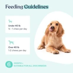 Pawfy Probiotic Soft Chews | Digestive | Gut | Immune Support | Diarrhea & Constipation Relief | Allergy Response & More -Dog Supply Store 41HxcQhTjCL