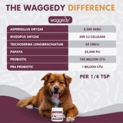 Waggedy Advanced Probiotic & Enzymes Healthy Gut — Digestive Enzymes W/ Papaya — Probiotic Powder — Dog Supplements — Products For Dogs – Food Topper, Powder (114g) -Dog Supply Store 41IoTKt5DZL