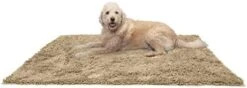 Furhaven 60" X 48" Highly Absorbent Dog Door Mat For Muddy Paws, 100% Washable, Perfect For Entryway, Kitchen, & Bathroom Use - Chenille Shammy Rug - Charcoal (Gray), Jumbo Plus/XXXL 31 Furhaven 60" X 48" Highly Absorbent Dog Door Mat For Muddy Paws, 100% Washable, Perfect For Entryway, Kitchen, & Bathroom Use - Chenille Shammy Rug - Charcoal (Gray), Jumbo Plus/XXXL -Dog Supply Store 41IqbsgDPyL. AC