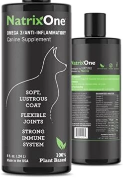 Camelina Oil For Dogs, Dog Skin And Coat Supplement All-Natural Supplements, Support Hearts, Joints, Coats, Skin And Anti-inflammatory Systems, Protective & Maintenance Care, 8 Oz -Dog Supply Store 41JGcFo4NcL. AC