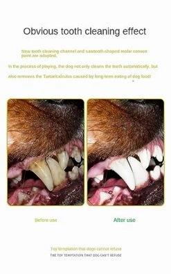 MeDapi Dog Toothbrush, Dog Teeth Cleaning Stick, Dog Teeth Grinding Stick, Food Leakage Device, Chewing-Resistant Pet Supplies, Pet Toys Yellow -Dog Supply Store 41JaO6bQe3L