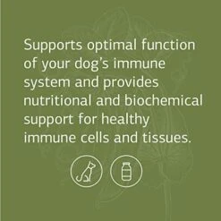 Standard Process - Canine Immune System Support For Dogs - 30 Grams -Dog Supply Store 41JmBgKhrlL