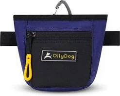 OllyDog Goodie Treat Bag, Dog Treat Pouch, Waist Belt Clip For Hands-Free Training, Magnetic Closure, Dog Training And Behavior Aids, Three Ways To Wear (Cactus) -Dog Supply Store 41LaijFefGL. AC