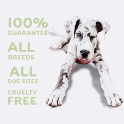 Waggedy Puppy Vitamin Chews –60 Chewy Multivitamins, Full Spectrum Functional Treats, Large Or Small Breed Puppy Supplement: Joint, Digestion, Immune System, Eyes & Coat 4.6 Oz. USA, Time Released 15 Waggedy Puppy Vitamin Chews –60 Chewy Multivitamins, Full Spectrum Functional Treats, Large Or Small Breed Puppy Supplement: Joint, Digestion, Immune System, Eyes & Coat 4.6 Oz. USA, Time Released -Dog Supply Store 41MGRnInzvL