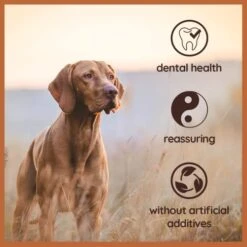 Wildfang® | Chewing Root Made From Tree Heather For Dogs, Dental Care & Masticatory Muscle Training, Natural Chew Toy…… 21 Wildfang® | Chewing Root Made From Tree Heather For Dogs, Dental Care & Masticatory Muscle Training, Natural Chew Toy…… -Dog Supply Store 41MSRGUd5RL