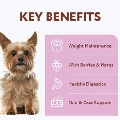 OPtimeal Grain-Free Dog Food - Proudly Ukrainian - Non-Grain Dog Food Dry Recipe, Dry Dog Food To Support Healthy Weight Maintenance - Toy Breeds (2.8lbs Total (2-Pack), Lamb & Veggies)