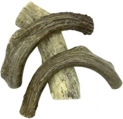 Deer Valley Dog Chews (Giant Single, 8-10 Inches) - Sustainably-Sourced Deer Antler For Extra Large Breeds - Durable And Enticing Chew Toy For Aggressive Chewers 13 Deer Valley Dog Chews (Giant Single, 8-10 Inches) - Sustainably-Sourced Deer Antler For Extra Large Breeds - Durable And Enticing Chew Toy For Aggressive Chewers -Dog Supply Store 41Q9Y78ygL. AC